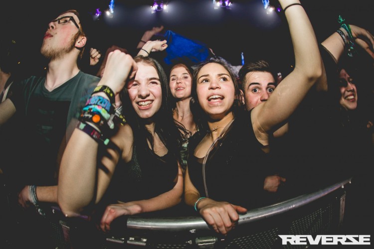 Reverze - Interconnected