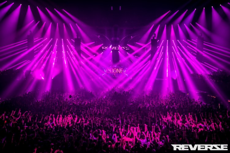 Reverze - Interconnected