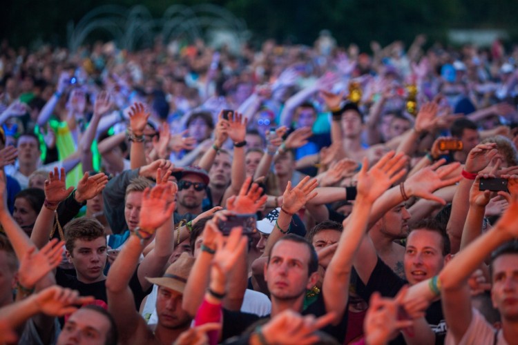 The Qontinent