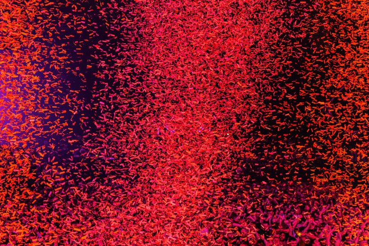 Reverze 2025 | Friday 14 February | Part I